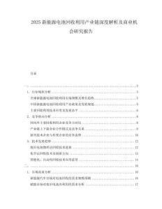 2025新能源電池回收利用產(chǎn)業(yè)鏈深度解析及商業(yè)機(jī)會(huì)研究報(bào)告