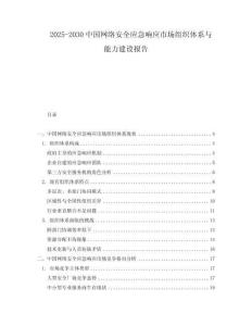 2025-2030中國(guó)網(wǎng)絡(luò)安全應(yīng)急響應(yīng)市場(chǎng)組織體系與能力建設(shè)報(bào)告