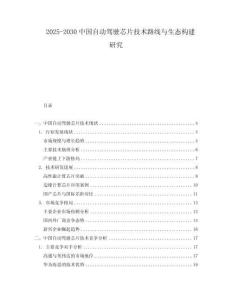 2025-2030中國自動駕駛芯片技術(shù)路線與生態(tài)構(gòu)建研究