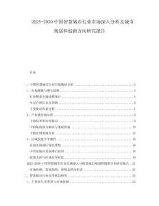 2025-2030中國智慧城市行業(yè)市場深入分析及城市規(guī)劃和創(chuàng)新方向研究報告