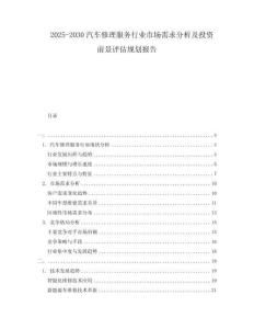 2025-2030汽車(chē)修理服務(wù)行業(yè)市場(chǎng)需求分析及投資前景評(píng)估規(guī)劃報(bào)告