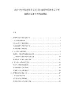 2025-2030智慧城市建設(shè)項目進展和經(jīng)濟效益分析及路面交通管理規(guī)劃報告