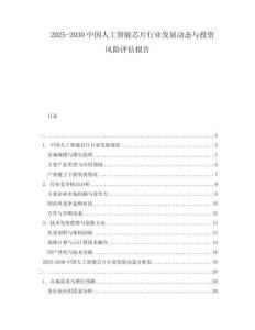 2025-2030中國人工智能芯片行業(yè)發(fā)展動態(tài)與投資風險評估報告