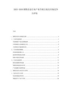 2025-2030鋼鐵冶金行業(yè)產(chǎn)業(yè)升級方案及市場競爭力評估