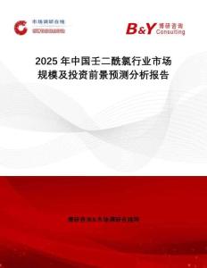 2025年中國壬二酰氯行業(yè)市場規(guī)模及投資前景預(yù)測分析報告