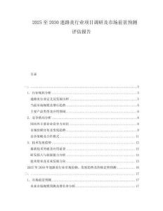 2025至2030迷路炎行业项目调研及市场前景预测评估报告