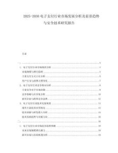 2025-2030電子支付行業(yè)市場(chǎng)發(fā)展分析及前景趨勢(shì)與安全技術(shù)研究報(bào)告