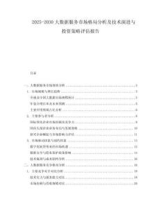 2025-2030大數(shù)據(jù)服務(wù)市場(chǎng)格局分析及技術(shù)演進(jìn)與投資策略評(píng)估報(bào)告