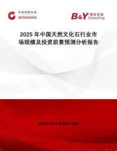 2025年中國天然文化石行業(yè)市場規(guī)模及投資前景預(yù)測分析報(bào)告