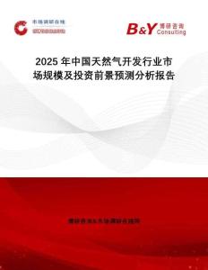 2025年中國(guó)天然氣開發(fā)行業(yè)市場(chǎng)規(guī)模及投資前景預(yù)測(cè)分析報(bào)告