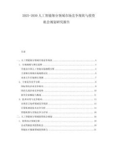 2025-2030人工智能細(xì)分領(lǐng)域市場(chǎng)競(jìng)爭(zhēng)現(xiàn)狀與投資機(jī)會(huì)規(guī)劃研究報(bào)告