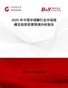 2025年中國(guó)孕諾酮行業(yè)市場(chǎng)規(guī)模及投資前景預(yù)測(cè)分析報(bào)告