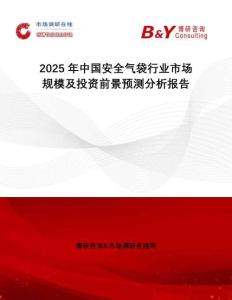 2025年中國安全氣袋行業(yè)市場規(guī)模及投資前景預(yù)測分析報(bào)告