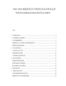 2025-2030郊游租賃自行車租賃行業(yè)企業(yè)資本運營管理單位品牌需求市場分析評估行業(yè)報告