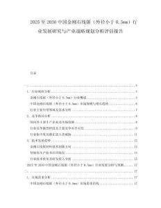 2025至2030中國金剛石線鋸（外徑小于0.5mm）行業(yè)發(fā)展研究與產業(yè)戰(zhàn)略規(guī)劃分析評估報告