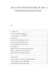 2025至2030中國石油和天然氣雙截止閥（DBB）行業(yè)深度研究及發(fā)展前景投資評估分析