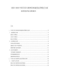 2025-2030中國衛(wèi)星互聯網星座建設運營模式與商業(yè)價值評估分析報告