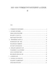 2025-2030中國(guó)磁懸浮列車商用化障礙與示范線效益