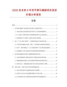 2025及未來5年雙節(jié)柄馬桶刷項(xiàng)目投資價(jià)值分析報(bào)告