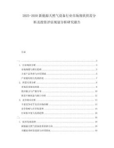 2025-2030新能源天然氣設備行業(yè)市場現(xiàn)狀供需分析及投資評估規(guī)劃分析研究報告