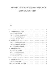 2025-2030石油勘探開發(fā)行業(yè)市場深度調研及發(fā)展趨勢和前景預測研究報告