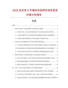 2025及未來5年錦綸雙色網(wǎng)布項(xiàng)目投資價(jià)值分析報(bào)告