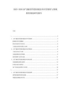 2025-2030油氣輸送管道防腐技術應用現(xiàn)狀與領域投資規(guī)劃研究報告