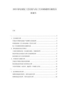 2025綠電制氨工藝比較與化工行業(yè)碳減排貢獻度分析報告