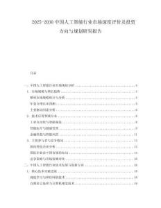 2025-2030中國人工智能行業(yè)市場深度評價及投資方向與規(guī)劃研究報告