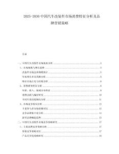2025-2030中國(guó)汽車改裝件市場(chǎng)消費(fèi)特征分析及品牌營(yíng)銷策略