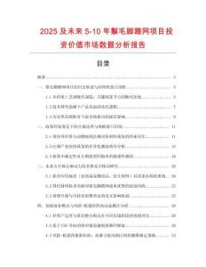 2025及未來5-10年鬃毛腳踏網(wǎng)項(xiàng)目投資價(jià)值市場(chǎng)數(shù)據(jù)分析報(bào)告