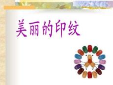 （27頁PPT）美麗的印紋3