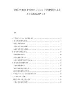 2025至2030中國(guó)熱Profilter行業(yè)深度研究及發(fā)展前景投資評(píng)估分析