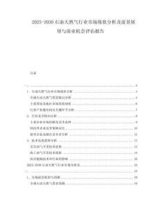 2025-2030石油天然氣行業(yè)市場(chǎng)現(xiàn)狀分析及前景展望與商業(yè)機(jī)會(huì)評(píng)估報(bào)告