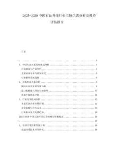 2025-2030中國石油開采行業(yè)市場供需分析及投資評估報告