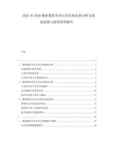 2025至2030精密數(shù)控車床行業(yè)市場發(fā)展分析及前景趨勢與投資管理報(bào)告