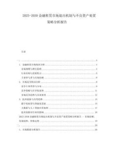 2025-2030金融租賃市場(chǎng)退出機(jī)制與不良資產(chǎn)處置策略分析報(bào)告