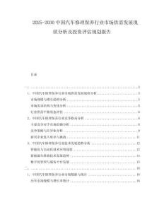 2025-2030中國汽車修理保養(yǎng)行業(yè)市場供需發(fā)展現(xiàn)狀分析及投資評(píng)估規(guī)劃報(bào)告
