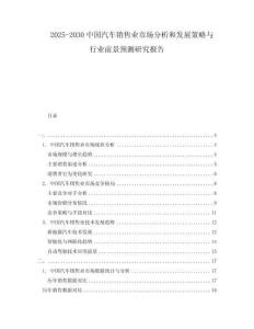 2025-2030中國(guó)汽車銷售業(yè)市場(chǎng)分析和發(fā)展策略與行業(yè)前景預(yù)測(cè)研究報(bào)告