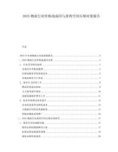 2025物流行業(yè)價(jià)格戰(zhàn)成因與盈利空間壓縮對(duì)策報(bào)告