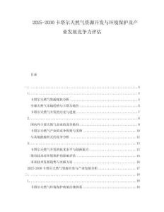 2025-2030卡塔爾天然氣資源開發(fā)與環(huán)境保護(hù)及產(chǎn)業(yè)發(fā)展競爭力評估