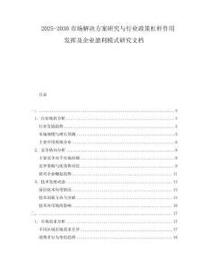 2025-2030市場解決方案研究與行業(yè)政策杠桿作用發(fā)揮及企業(yè)盈利模式研究文檔