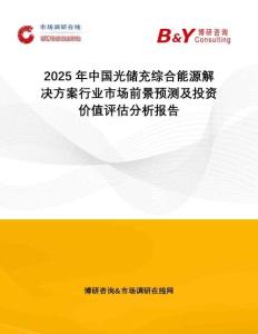 2025年中國光儲充綜合能源解決方案行業(yè)市場前景預測及投資價值評估分析報告