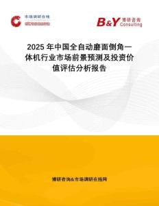 2025年中國全自動磨面倒角一體機(jī)行業(yè)市場前景預(yù)測及投資價值評估分析報告