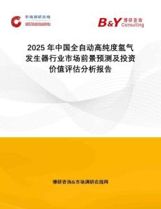 2025年中國全自動高純度氫氣發(fā)生器行業(yè)市場前景預測及投資價值評估分析報告