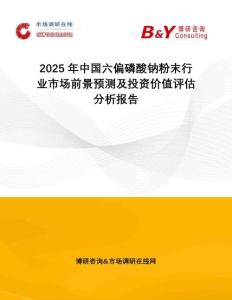 2025年中國六偏磷酸鈉粉末行業(yè)市場前景預(yù)測及投資價值評估分析報告