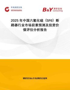 2025年中國六氟化硫（SF6）斷路器行業(yè)市場前景預(yù)測及投資價(jià)值評(píng)估分析報(bào)告