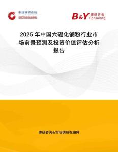 2025年中國六硼化鑭粉行業(yè)市場前景預測及投資價值評估分析報告