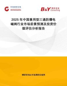 2025年中國兼用型三通防爆電磁閥行業(yè)市場前景預(yù)測及投資價值評估分析報告