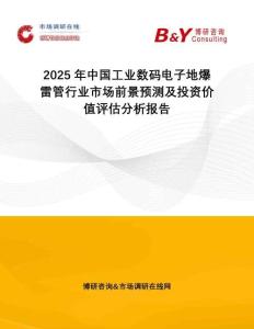 2025年中国工业数码电子地爆雷管行业市场前景预测及投资价值评估分析报告